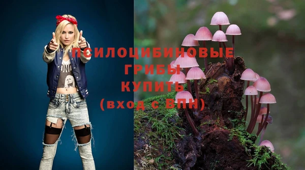 первитин Гусиноозёрск