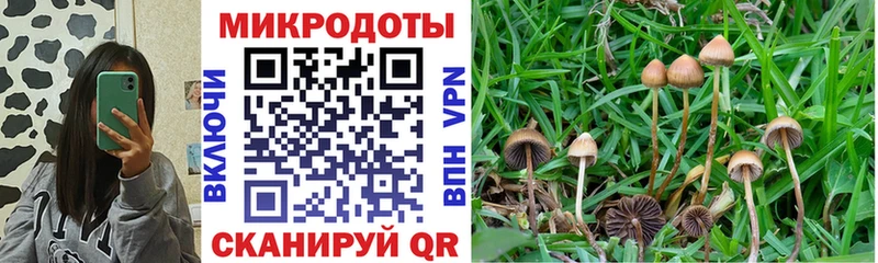 Галлюциногенные грибы GOLDEN TEACHER Артём